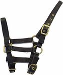 Rhinegold Nylon Foal Headcollar - Black