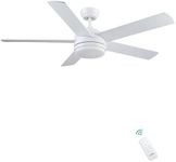 CJOY Ceiling Fans with Two Colour B