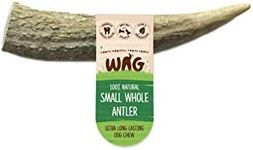 WAG Long Lasting Whole Antler Dog T