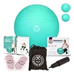 The Birth Ball - Birthing Ball for Pregnancy - Labor Ball + 18pg Pregnancy Ball Exercises Guide by Trimester How to Dilate, How to Reposition Baby & More 2000lb Stress Limit (Mint Green, 65 cm)