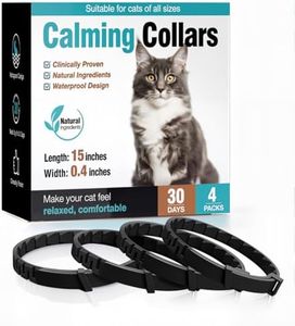 Cat Calmin