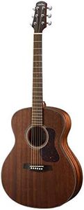 Chitarra acustica WALDEN G551EW