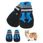 Dog Boots For Winter