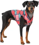 Kurgo Loft Dog Jacket, Reversible Winter Coat for Dogs, Wear with Harness or Sweater, Water Resistant, Reflective, for Small Medium Large Pets (Lava Lamp, M)