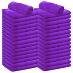 30-Pack Microfiber Cleaning Cloths,500 GSM Edgeless Microfiber Plush Towels for Cleaning, Lint Free Dust Cleaning Cloth, Kitchen Cloth for House, Car, Window, Cleaning Supplies,16"x16"