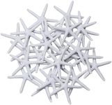 LJY 25 Pieces 3.15 Inches White Res