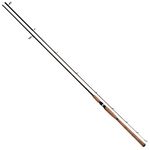 Tica USA HLHB10H2S Salmon Steelhead Spinning Fishing Rod, Heavy, 10-Feet, 12-25-Pound