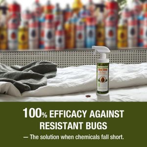 EcoVenger Bed Bug Killer Spray 480ml – Natural Insect Control