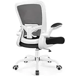 FelixKing Ergonomic Office Chair, A