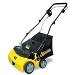 Artificial Turf Sweeper by Roll & C