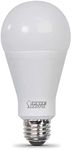 Feit Electric A21 LED Light Bulb, 2