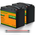 ECO-WORTHY 2pcs 50AH LiFePO4 Battery 12.8V Lithium Leisure Battery with 3000+ Cycles & BMS Protection for RV,Boat,Camping,Solar Panel System