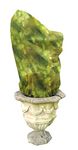 Haxnicks 3x Medium Green Fern Fleece Jackets | Garden Fleece Bags For Winter Frost And Wind Protection | Trees Bushes Exotic Plants Ferns Banana Plants| | Pack Of 3, 80cm x 100cm | Fleece150101