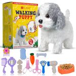 Elrois Walking Dog Teddy Robot Puppy – Talking & Musical Toy Dog for Kids with Leash – Interactive Robot Pet for Girls & Boys – Plush Puppy in Live Pets Style – Stuffed Animal Kids Toy Gift