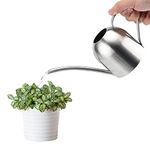 Saicowordist 17.6OZ / 500ML Indoor Plant Watering Can Small, Ornate Stainless Steel Metal Long Spout Bonsai Mini Watering Can, Watering Pot for Indoor&Outdoor Plant(Silver