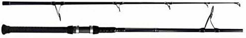 Tsunami Airwave Elite 2pc Saltwater Surf SPINNING XXH Rod 12' TSAWESS-1202XXH