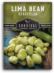 Survival Garden Seeds - Henderson Lima Bean Seed for Planting - Packet with Instructions to Plant and Grow Tender White Butter Beans in Your Home Vegetable Garden - Non-GMO Heirloom Variety