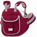 Crawl'in Children Motorcycle Safety Harness - Child Ride Strap - Kids Vehicle Adjustable Safety Harness Strap for Two Wheeler Bike Riding with Padded Strap (Maroon)