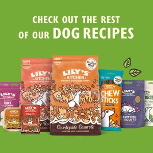 Lily's Kitchen Adult Dog Food Multipack – Assorted Wet Meals