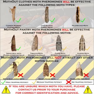 MothOut 12-Pack Moth & Fly Traps – Clothes, Pantry, Carpet, Glowing Pads