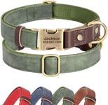 Didog Personalised Leather Dog Collar, Soft Durable Custom Dog Collars, Adjustable Dog Collar with Name Plate and Quick Released Metal Buckle for Small Medium Large Dogs, Green, S