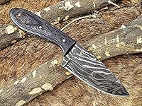 7.5" Long Damascus steel hand forged compact skinning Knife, 4" drop point full tang blade, 2 Tone Dollar wood scale, Cow hide Leather sheath (Dollar wood)