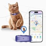 SEEWORLD P1 GPS Dog Cat (6.5 lbs+) 