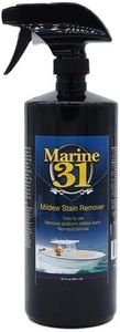 Marine 31 