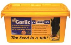 Horslyx - Garlic Horse Field Lick x 15 Kg