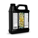 Brightwell Aquatics CoralAmino - Complex of Amino Acids for Corals - Coral Food for Aquarium Coral Growth - Saltwater Aquarium Treatments, 67.6 fl oz