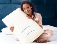 Talalay Natural Latex Foam Pillow D