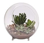 Panacea Large Glass Terrarium Indoor Planter with Feet, 10" / 25cm Dia 82145