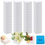 Amylove 48 Pack Craft Foam Blocks 4x4x2 Non Squishy Square White Flower Foam Cubes Sculpting EPS Polystyrene Foam for DIY School Kids Floral Arrangements Modeling Crafting Sculptures Art Projects