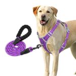 HANK Dog Leash & Harness - Night Reflective - 4 Adjustable Buckles - Chest (Min 32 - Max 42" inches) (XL - (Harness + Leash), Violet - Combo)