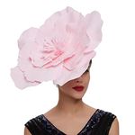 LJRPUPY Womens Kentucky Derby Hat Wedding Prom Fascinators Hat Tea Party Headpiece Big Flower Style Pink