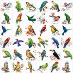 Hotop 600 Pcs Bird Stickers for Kids Bird Photos Stickers Animals Bird Stickers Realistic Bird Stickers Teachers Student Stickers for Teacher Supplies Classroom Animals Bird Theme Party Favor