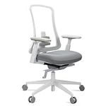 ProtoArc Ergonomic Office Chair - Flexer Nylon Breathable Mesh Chair (Flexer Pro-White)