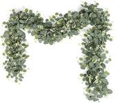 SOMYTING Eucalyptus Garland with Wh