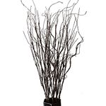 FeiLix 10PCS Lifelike Curly Willow Branches Decorative Dried Artificial Twigs, 30.7 Inches Fake Bendable Sticks Vintage Vines/Stems DIY Greenery Plants Craft Vases Home Garden Hotel Farmhouse Decor