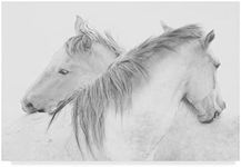 Trademark Fine Art Two White Horses