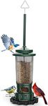 Squirrel-Proof Bird Feeder-Stainles