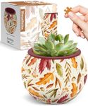 PieceRelax 3D Puzzle Planter - Dancing Leaves in Fall - Small Round Plant Pots with Drainage, Home Decor Flower Pots for Indoor Cactus, Succulents Pots [K1108]