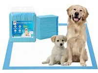 Kash4 Premium Dog and Puppy Training Pads - Super Absorbent, Leakproof, Quick-Dry Surface - Large Size Puppy Pee Pads for Easy Training and Clean-Up, Pack of 50