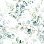 HaokHome 93042 Peel and Stick Wallpaper Green/White Eucalyptus Leaf Wall Mural Home Nursery Decor 17.7in x 9.8ft