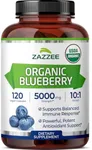 Zazzee USDA Organic Wild Blueberry 10:1 Extract, 5000 mg Strength, 120 Vegan Capsules, 4 Month Supply, Concentrated and Standardized 10X Whole Fruit Extract, 100% Vegetarian, All-Natural and Non-GMO