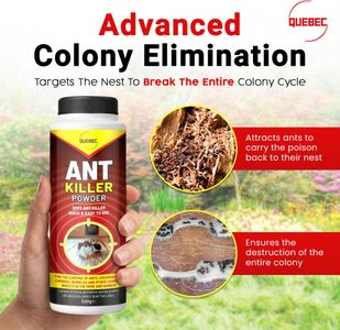 Quebec Ant Killer Powder 500g – Crawling Insect Dust for Indoor & Outdoor