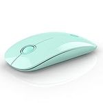 RAPIQUE R306 Wireless Mouse, Green,