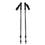 Black Diamond Explorer 2 Trekking Poles, Ink Blue