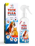 Natural Repellent For Ticks