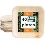 HAAGO Compostable Palm Leaf Plates - Eco-Friendly Disposable Tableware for Picnics, Safe for Freezer & Microwave (40, 15cm / 6" Square)